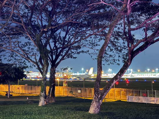 Cosford Container Park-新加坡必去景点