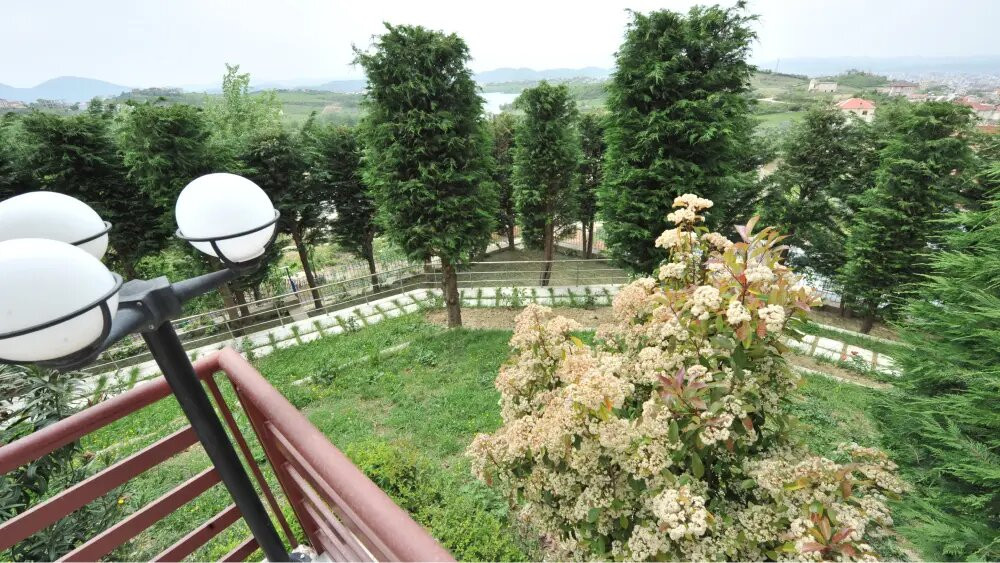 Dora Residence主图