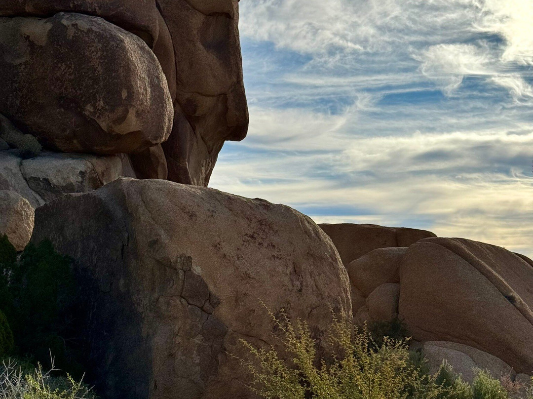 Joshua Tree National Park-约书亚树必去景点