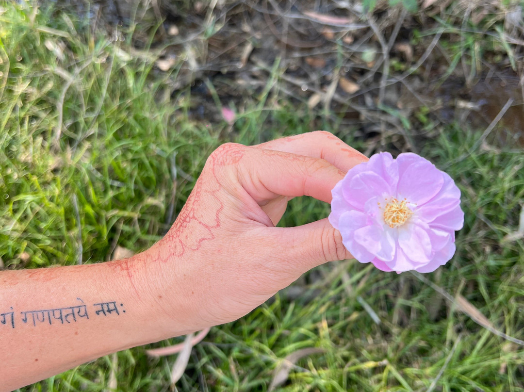 Hiking & Trekking Company Mount Abu-阿布山必去景点