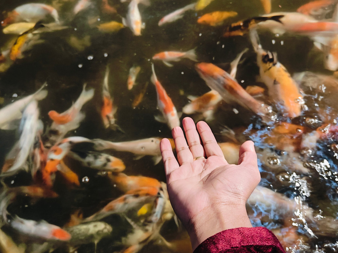 Fundera Park-Yelagiri必去景点