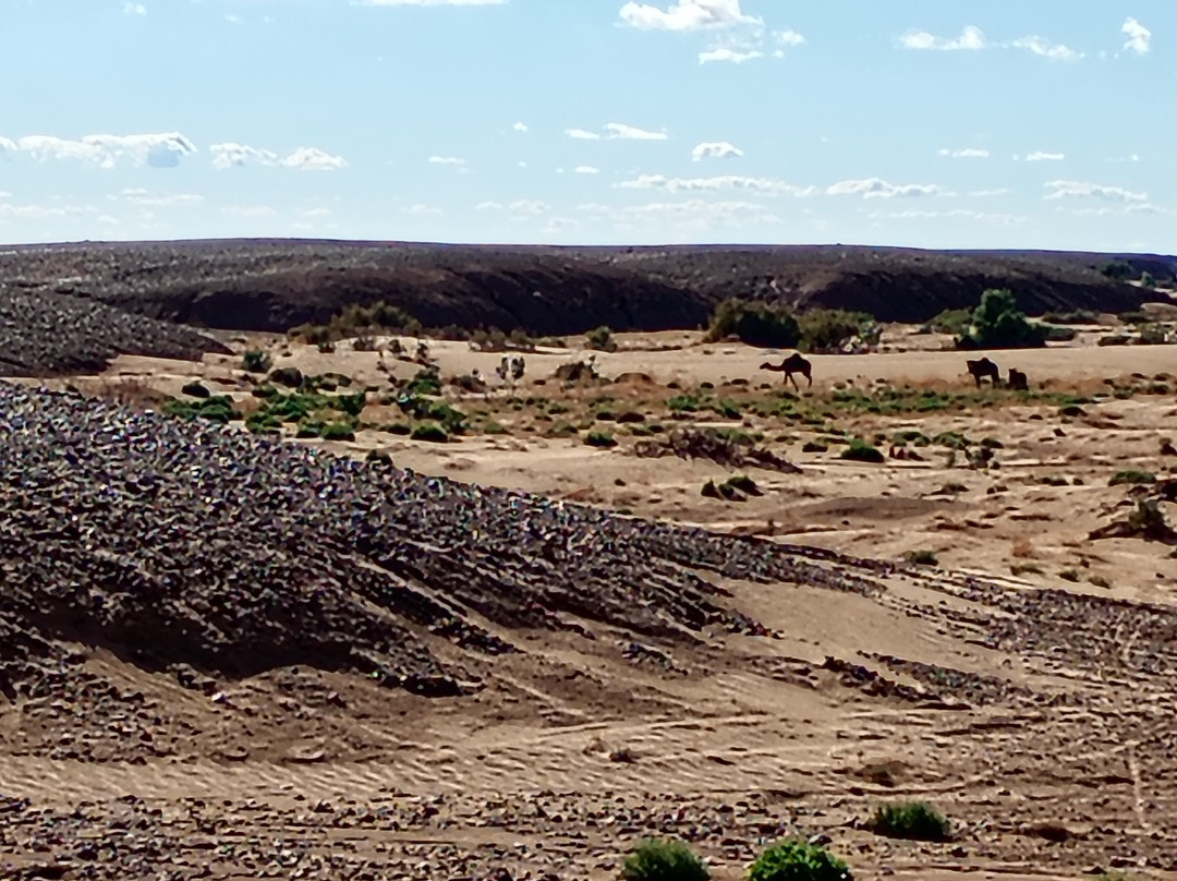 Haj Omar Service-扎古拉必去景点