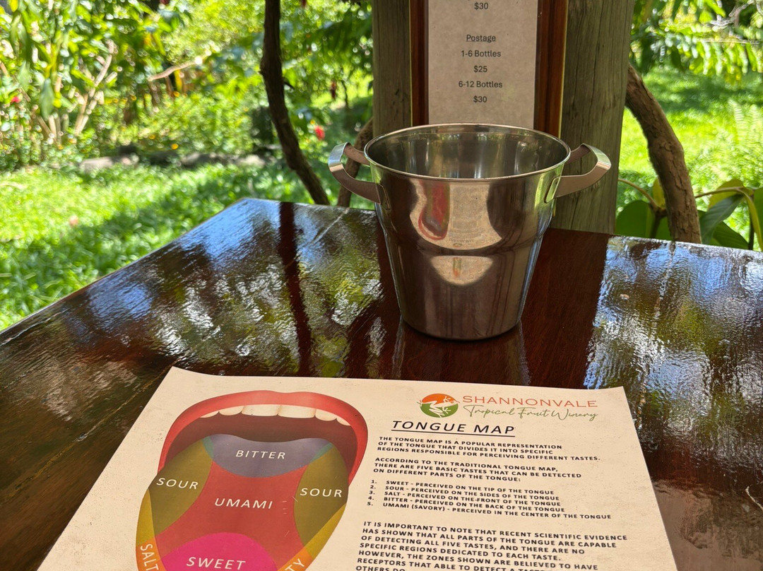 Shannonvale Tropical Fruit Winery-Mossman必去景点