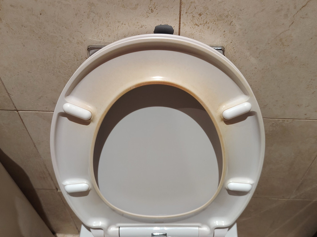 马尔文酒店主图