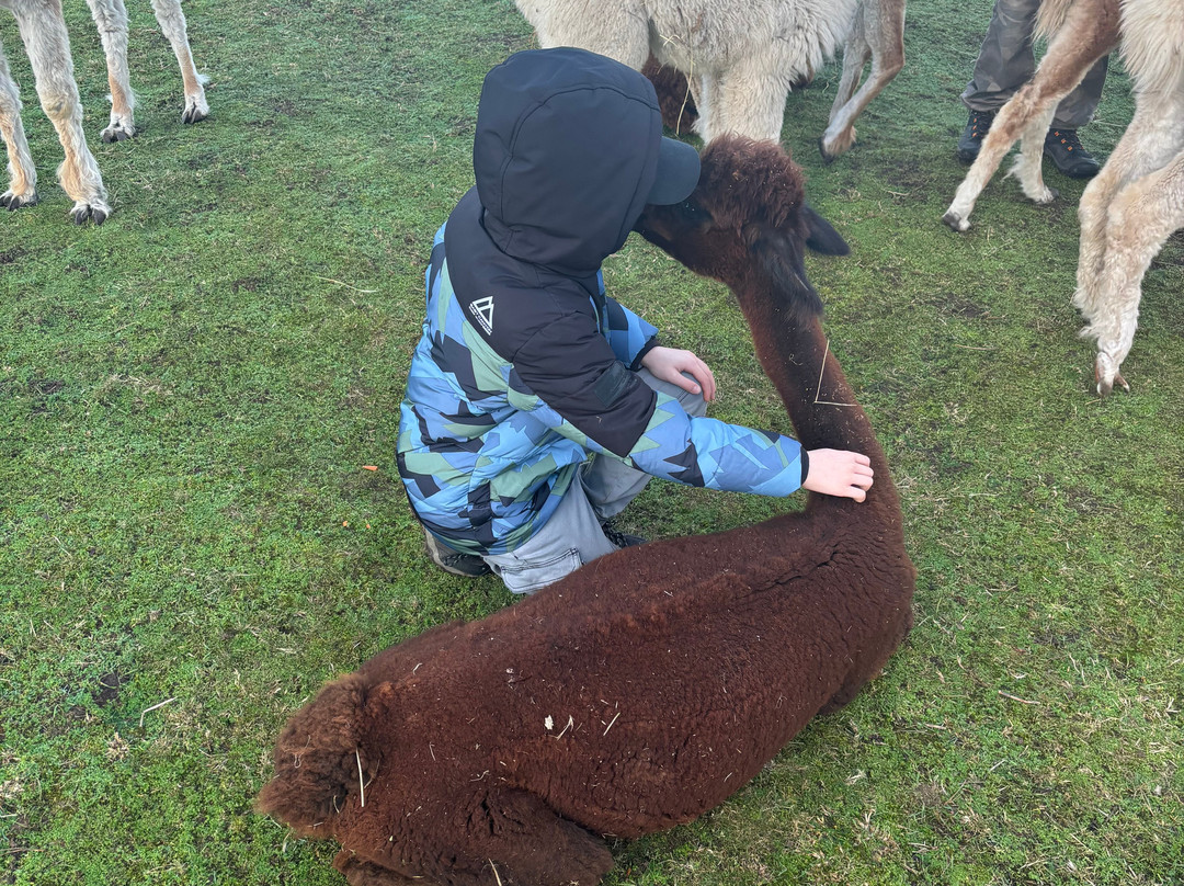 John Muir Alpacas-Dunbar必去景点