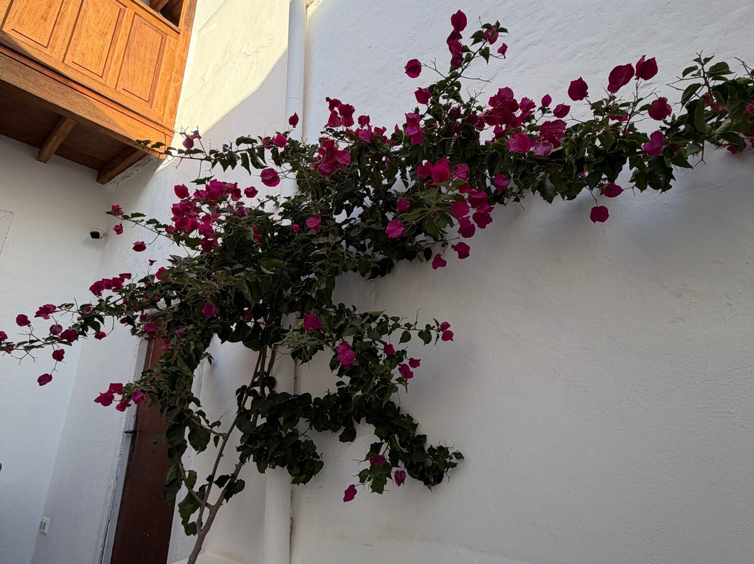 Casa de las Flores - Hotel Boutique Lanzarote主图