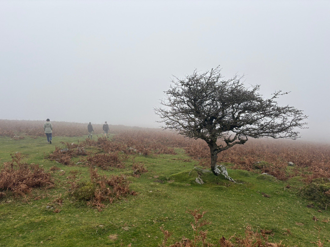 Ashburton Court Guest House主图