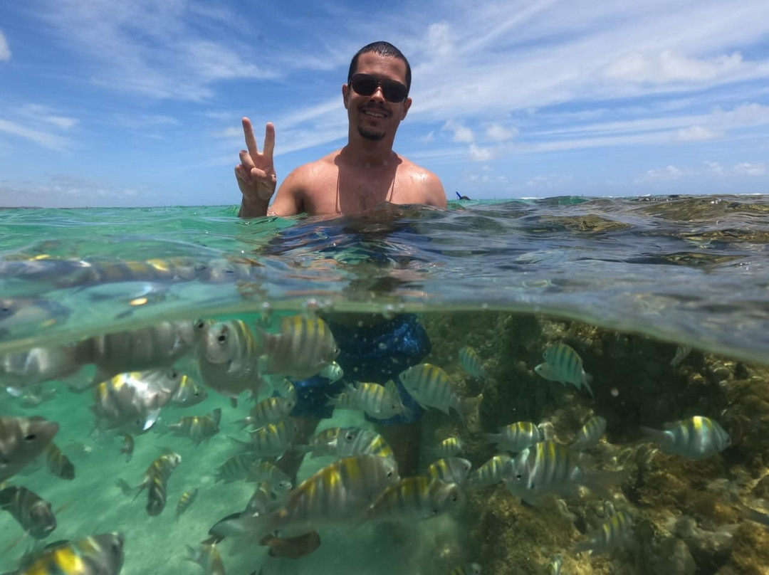 Piscinas Naturais-Sao Miguel dos Milagres必去景点