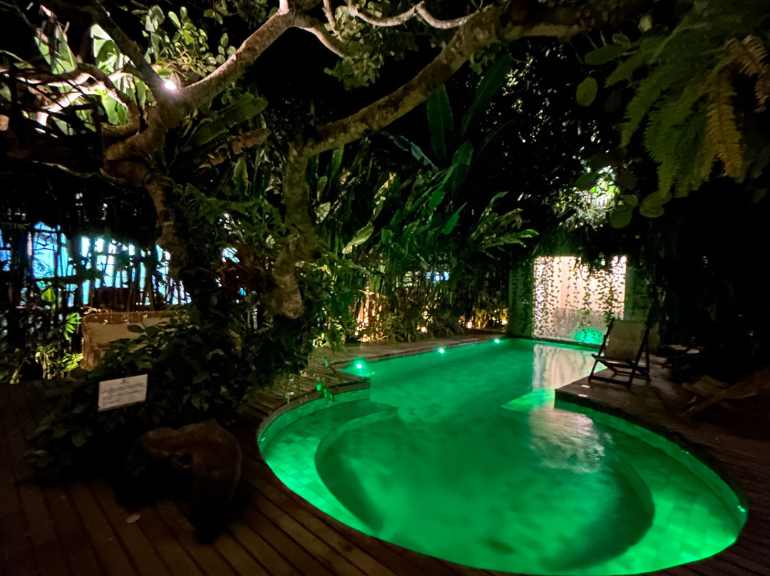 Pousada Nativa主图