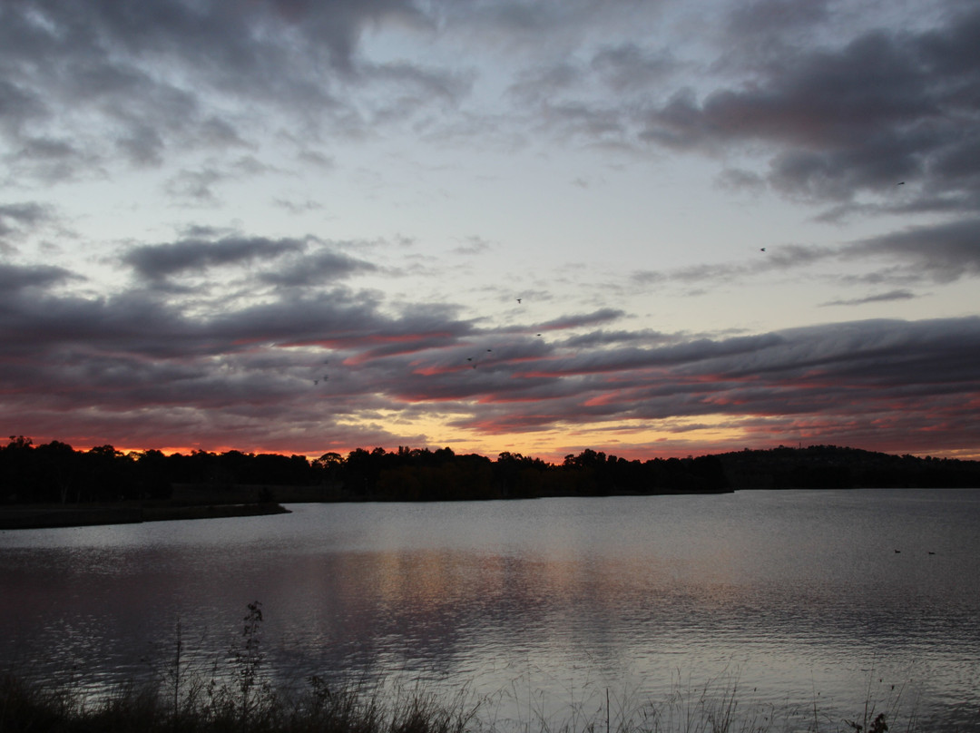 Belconnen Arts Centre Inc-堪培拉必去景点