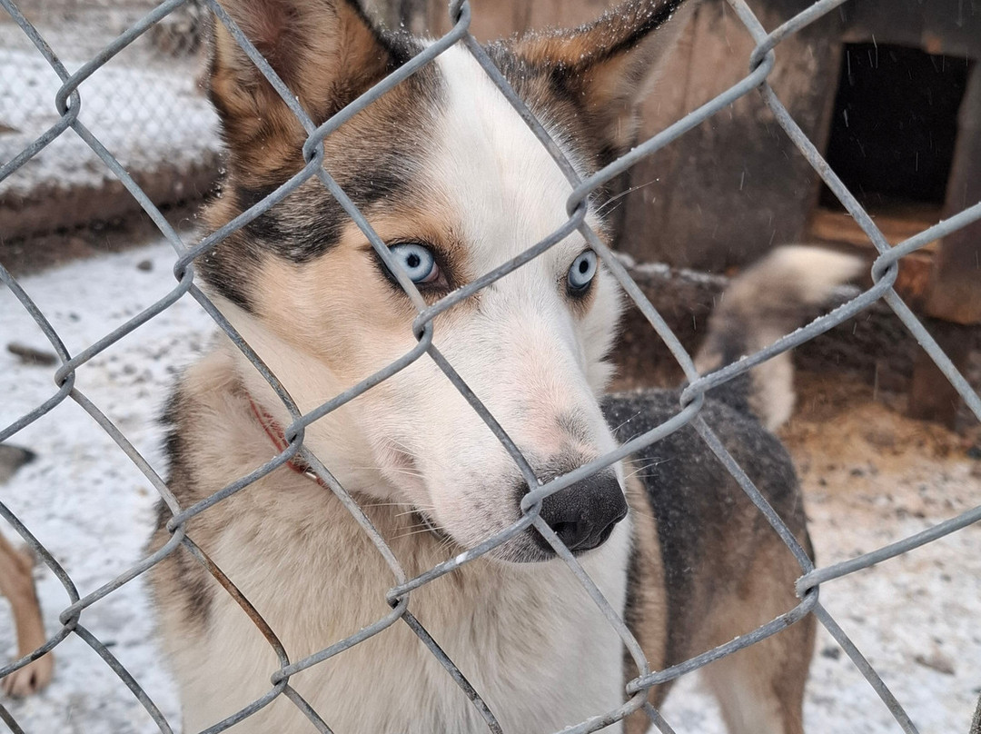 Fjallaventyr-Salen必去景点