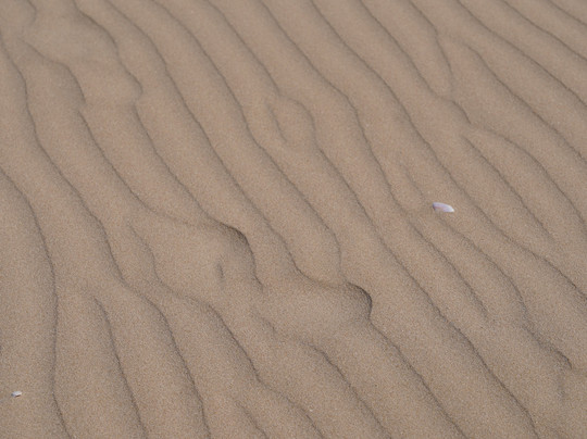 St Francis Bay Beach-圣法兰西斯港必去景点