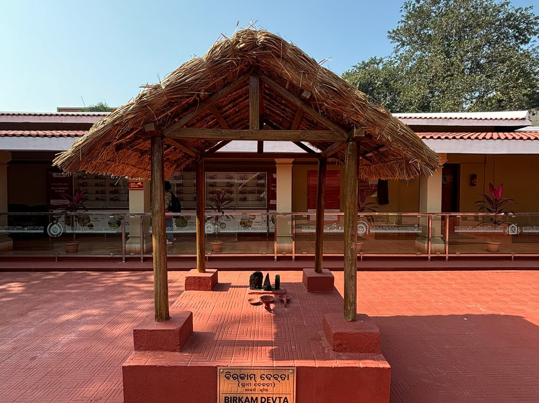 Museum of Tribal Arts & Artifacts-布巴内斯瓦尔必去景点