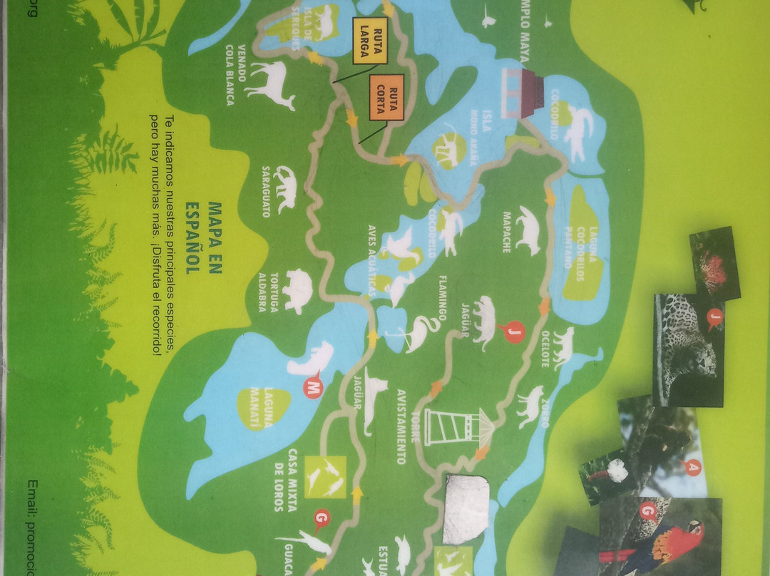 Aluxes Ecoparque-帕伦克必去景点