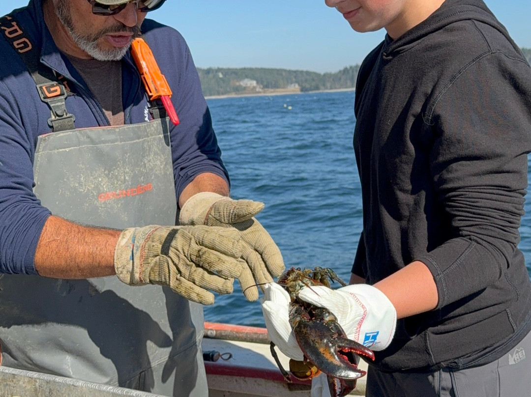Swan's Island Charters-Swans Island必去景点