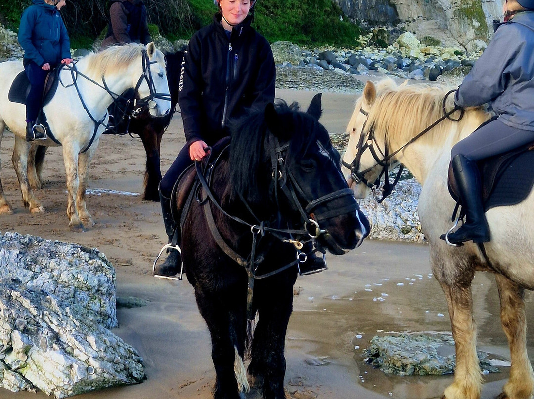 Bespoke Equestrian Ireland-都柏林必去景点