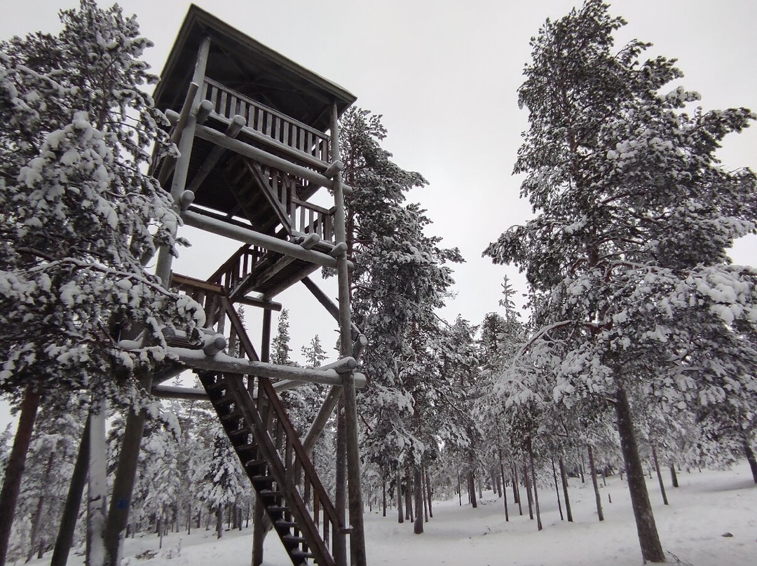 Ounasvaara Winter Trail-罗瓦涅米必去景点