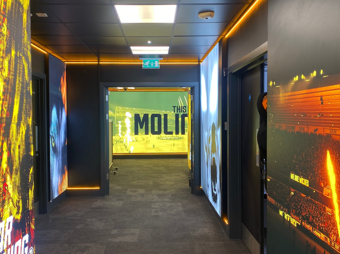 Wolves Museum & Stadium Tours-沃尔夫汉普顿必去景点