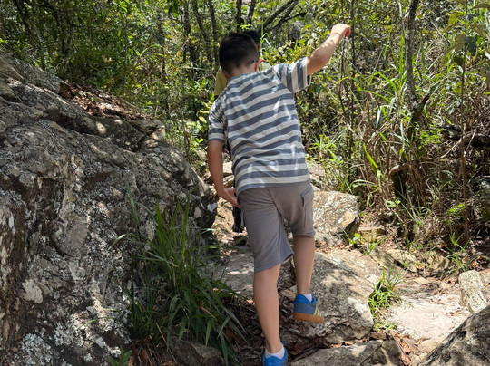 Serra do Lenheiro-德尔雷伊必去景点
