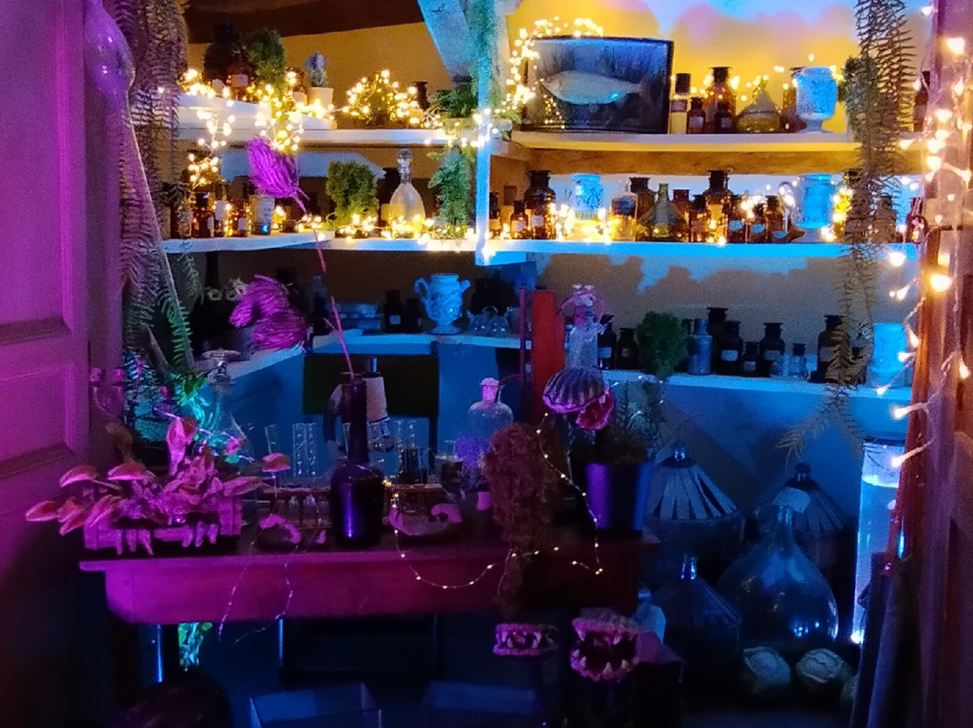 Château Rocher Portail-Saint-Brice-en-Cogles必去景点