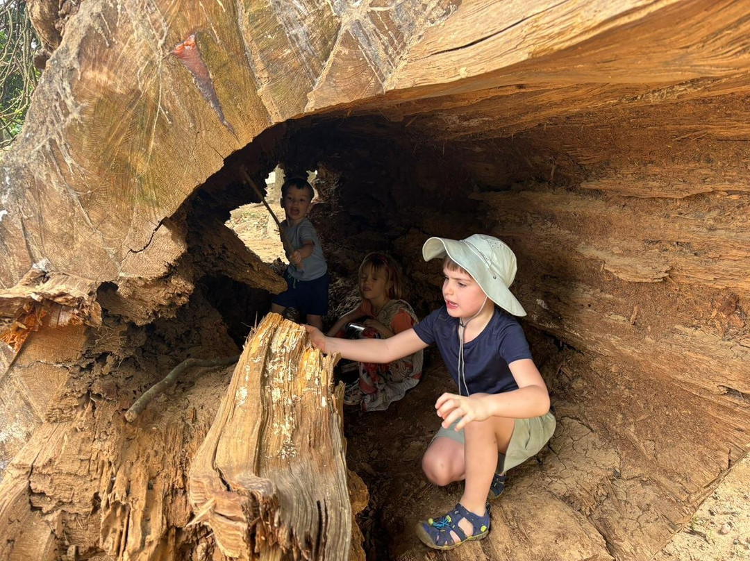 蓝色兰卡之旅-Nugegoda必去景点