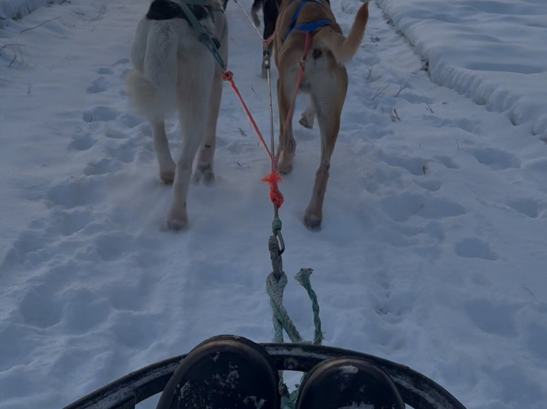 Snowhook Adventure Guides of Alaska-Willow必去景点