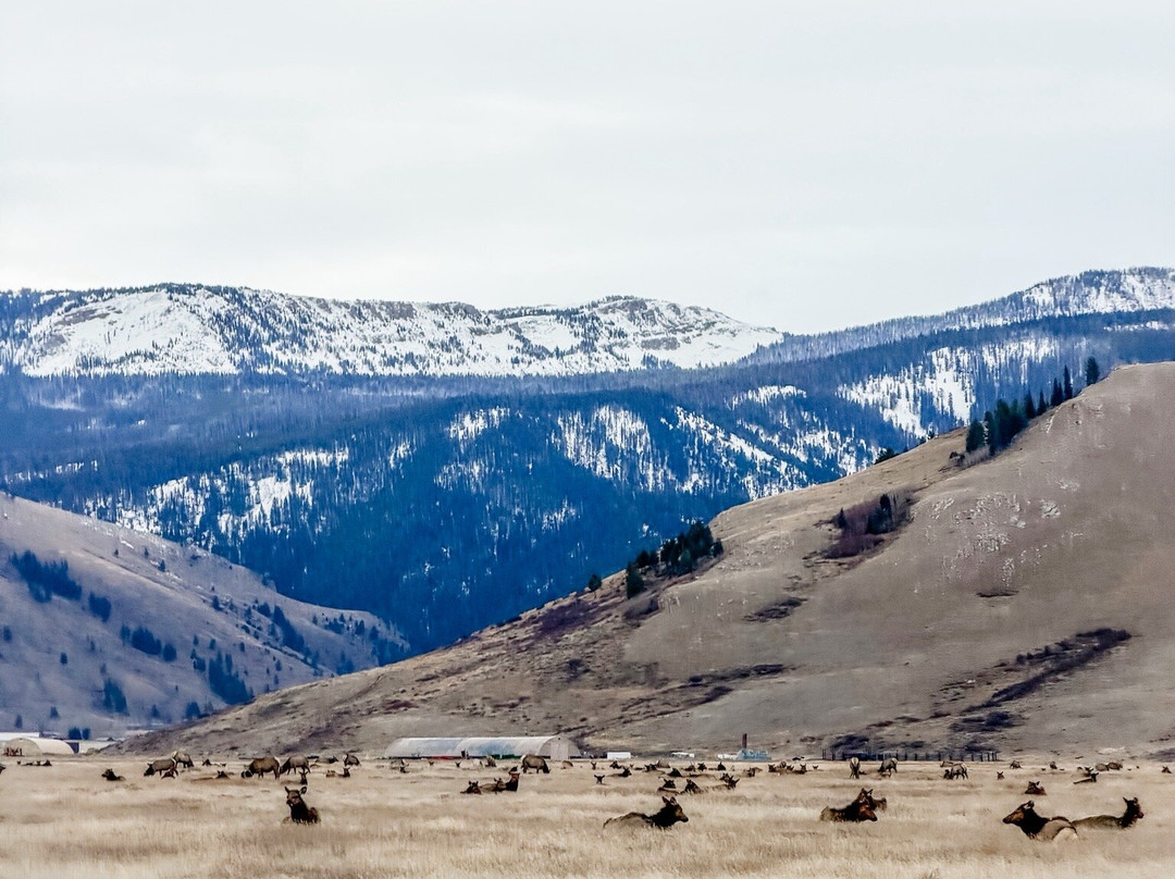 国家麋鹿保护区-杰克逊必去景点