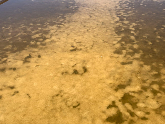 Marinha da Noeirinha-阿威罗必去景点