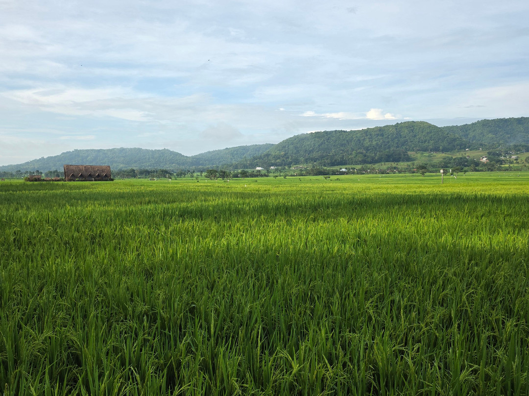 Moana - Sustainable Bicycle Tour-Yogyakarta必去景点