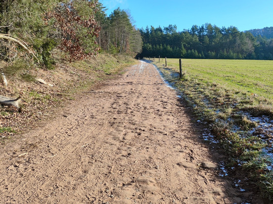 Altschlossfelsen-Eppenbrunn必去景点