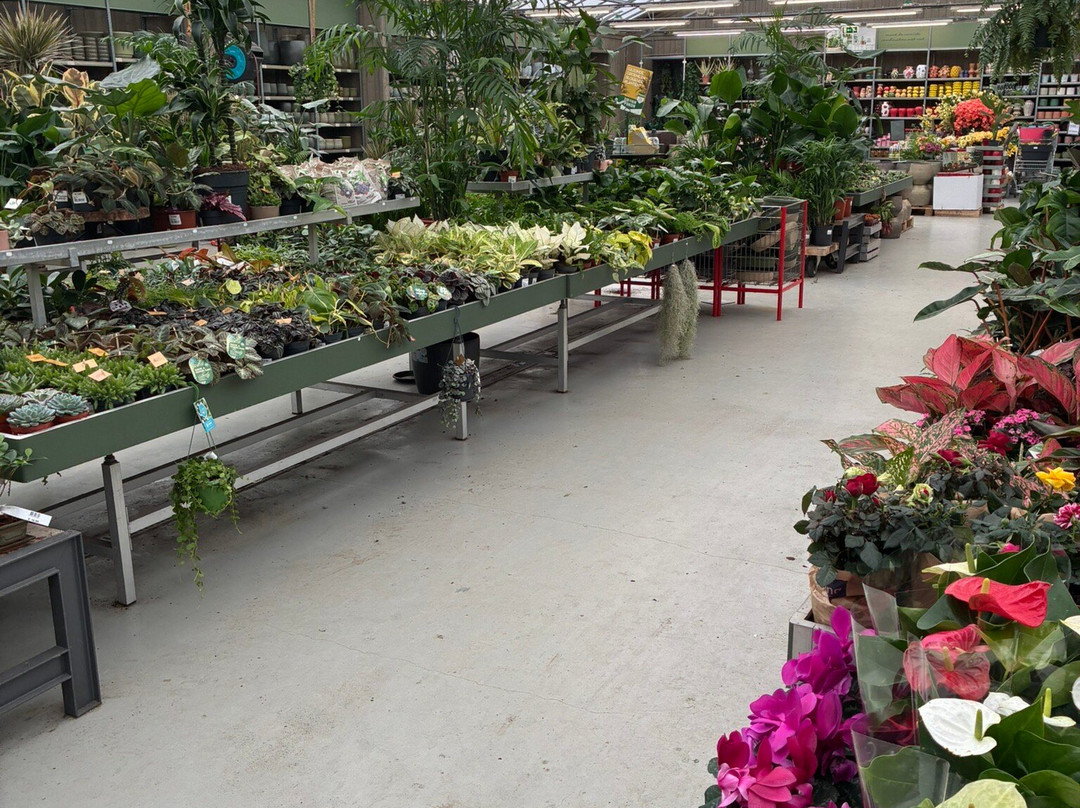 Dekatuin Heiloo-Heiloo必去景点