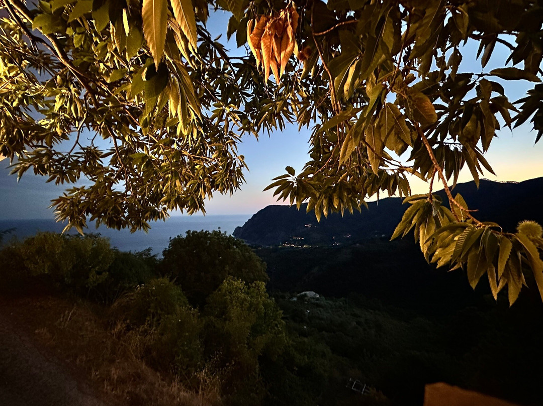 Cinque Terre Cooking School-滨海蒙特罗梭必去景点