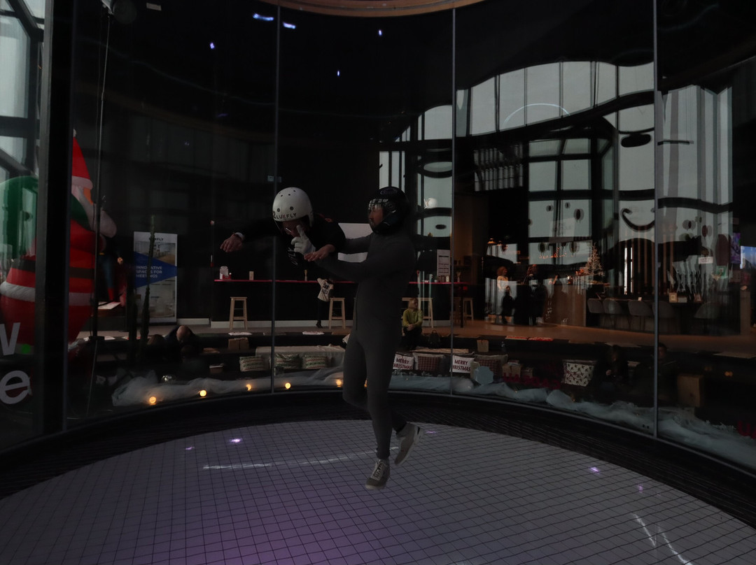 LUXFLY Indoor Skydive-阿尔隆必去景点