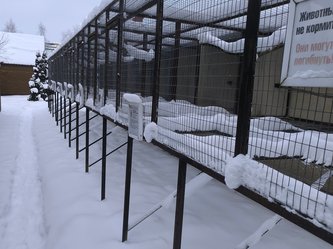 Bird Park Vorobyi-Vorobi必去景点