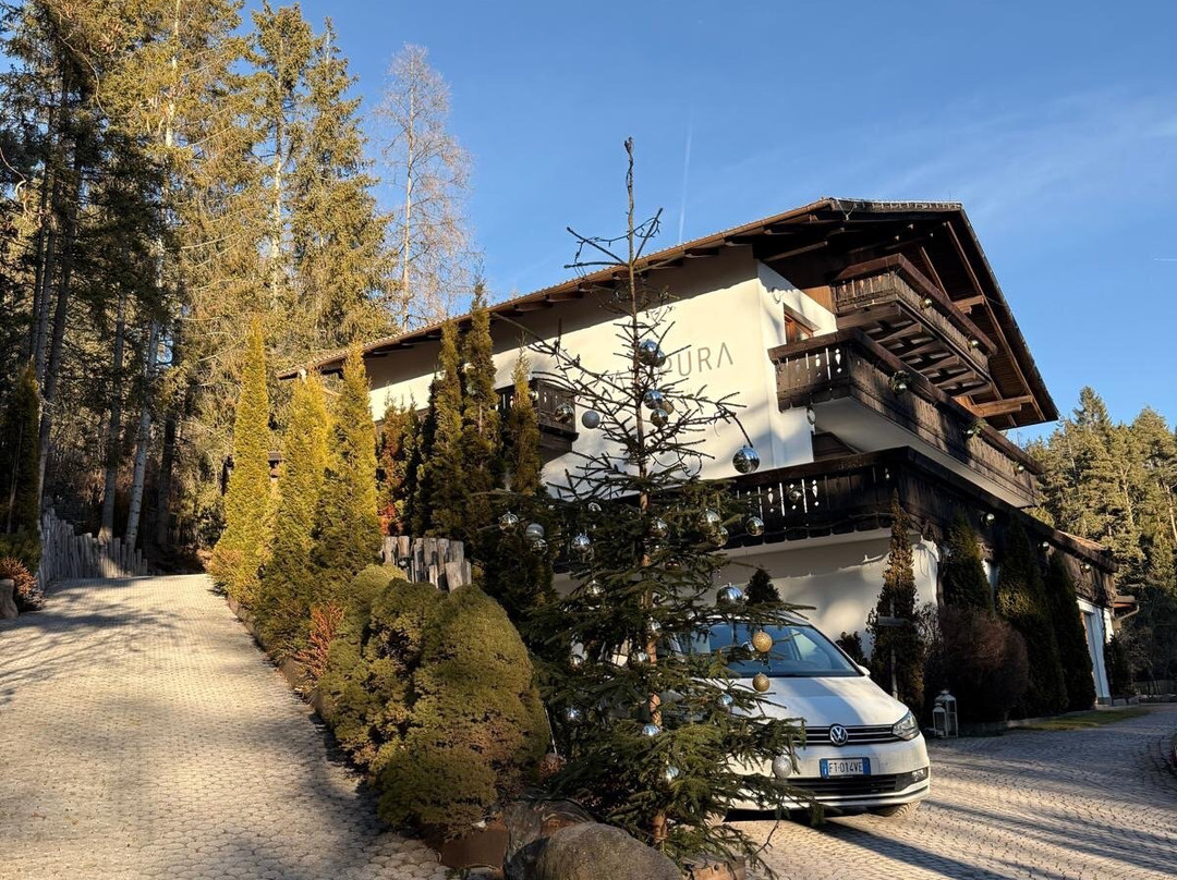 Apipura  - Hotel Rinner主图