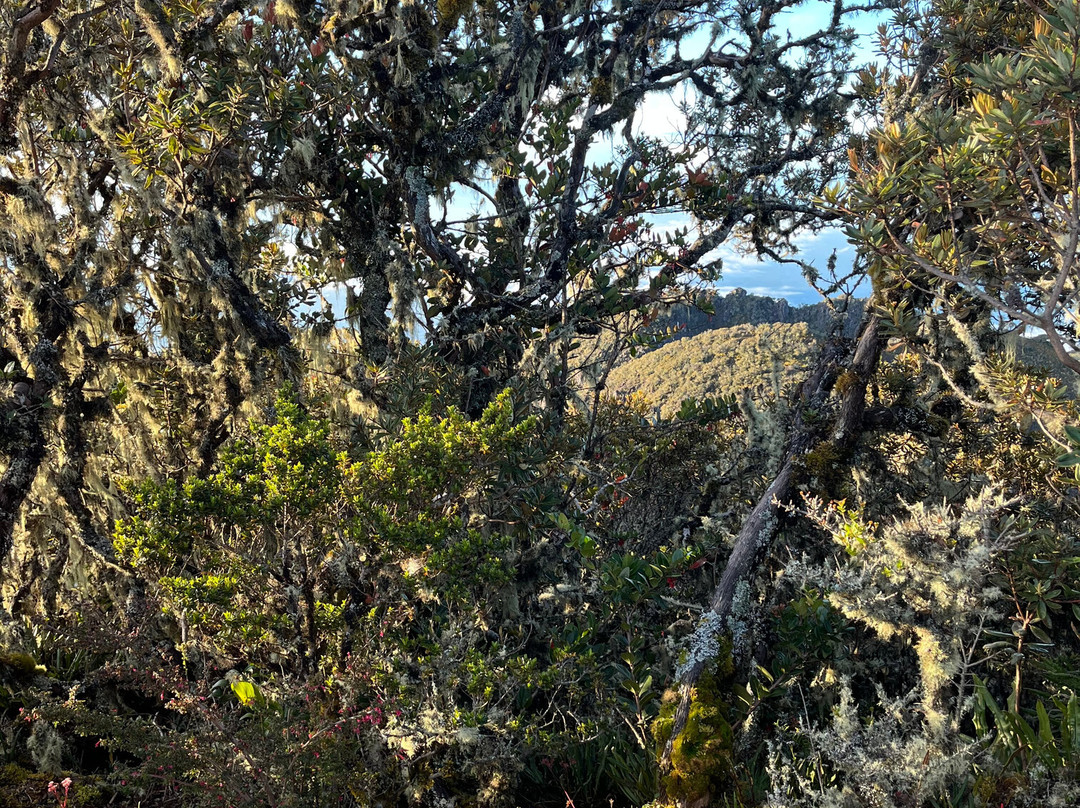 Mi Viaje a Panamá-巴拿马城必去景点