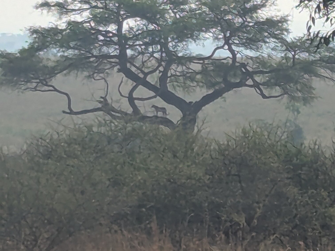 Uganda Family Tours & Travel-Fort Portal必去景点