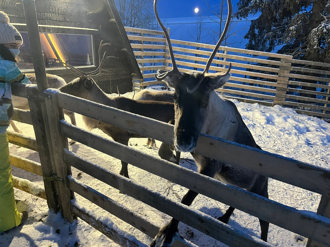 Local Lifestyle Rovaniemi-罗瓦涅米必去景点