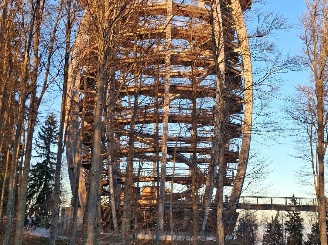 Baumwipfelpfad Salzkammergut-葛姆登必去景点