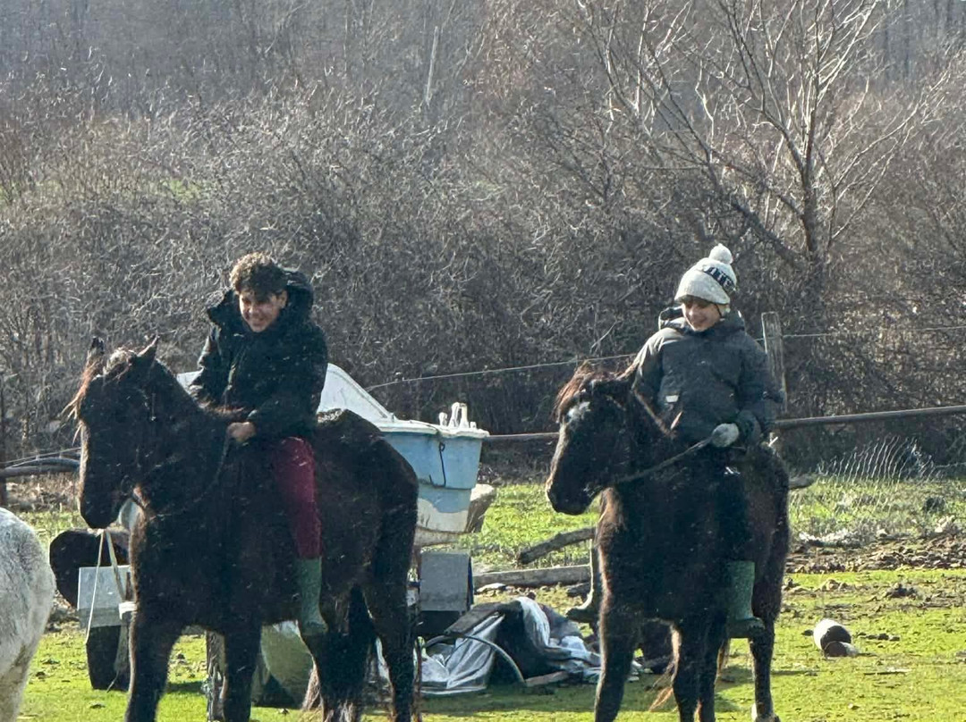 Artemis O.E.-Sklithro必去景点