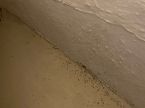 阿尔曲翁提克安杰卢酒店主图