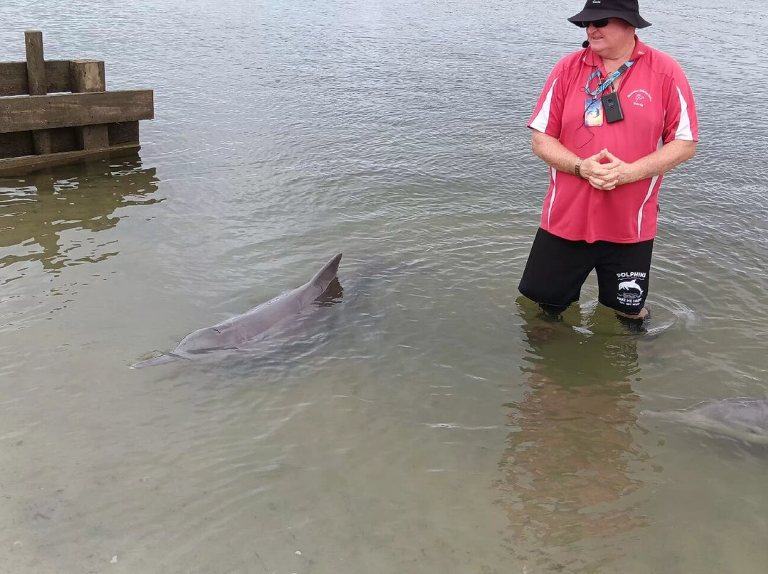 Barnacles Dolphin Centre-Tin Can Bay必去景点