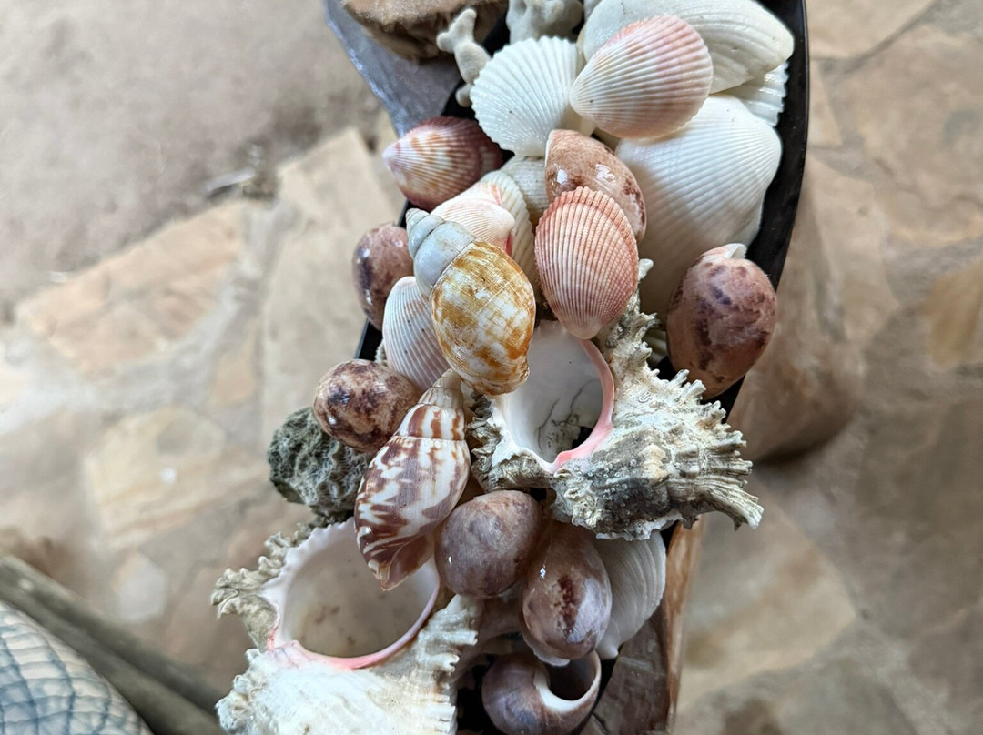 Eco Shamba Kilole Lodge主图