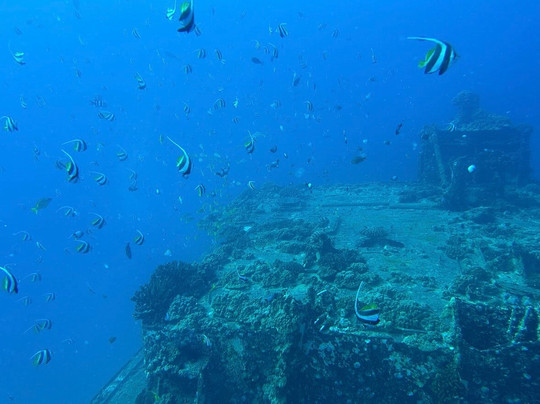 Aloha Scuba Diving Company-火奴鲁鲁必去景点