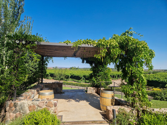 Finca Bandini-路冉得库约必去景点