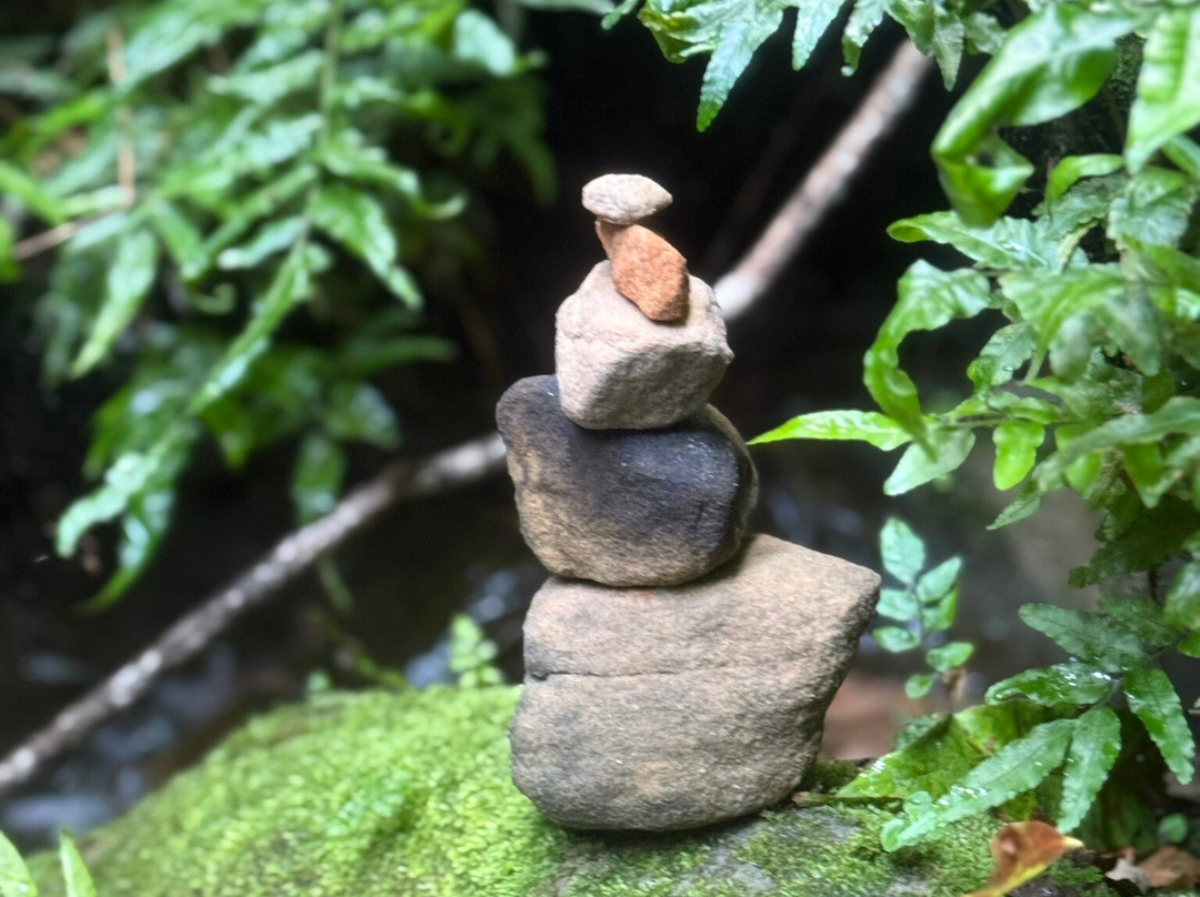 Chapada das Mesas Tur-Carolina必去景点