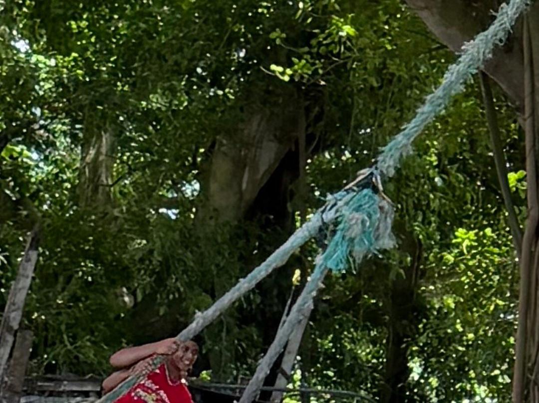 Palolo Deep Marine Reserve-阿皮亚必去景点