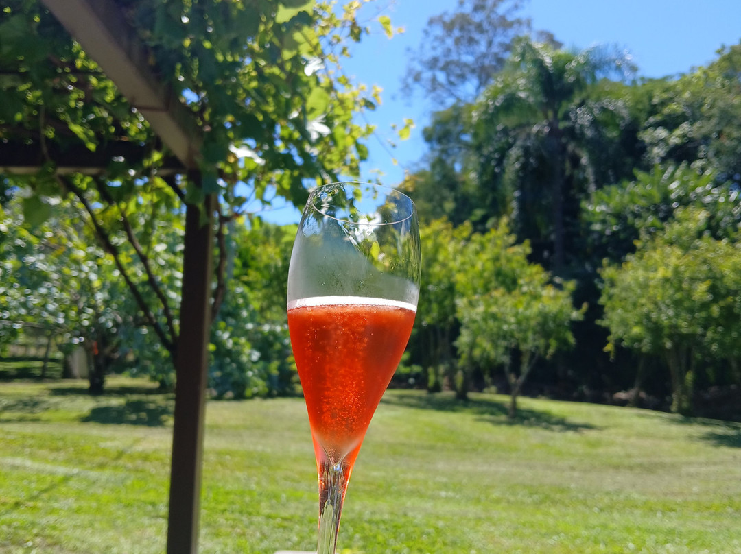 Vinhos Bettú-Garibaldi必去景点