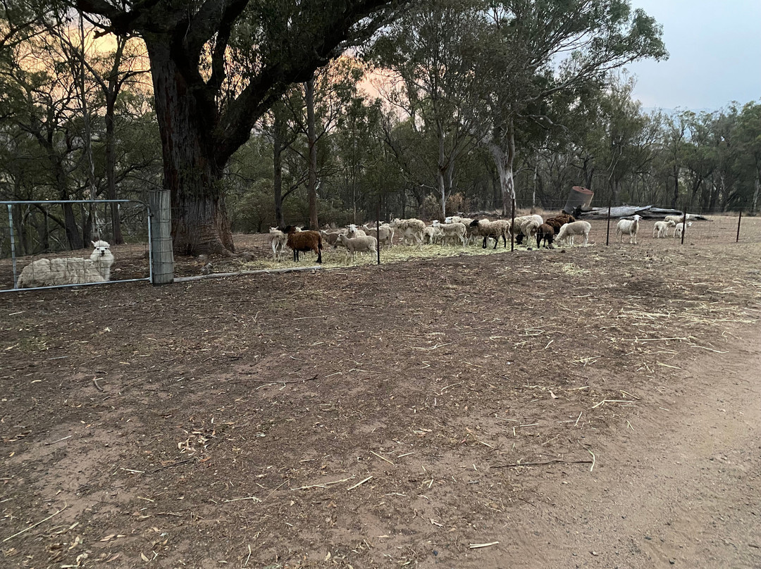 Bumblebrook Farm Motel主图