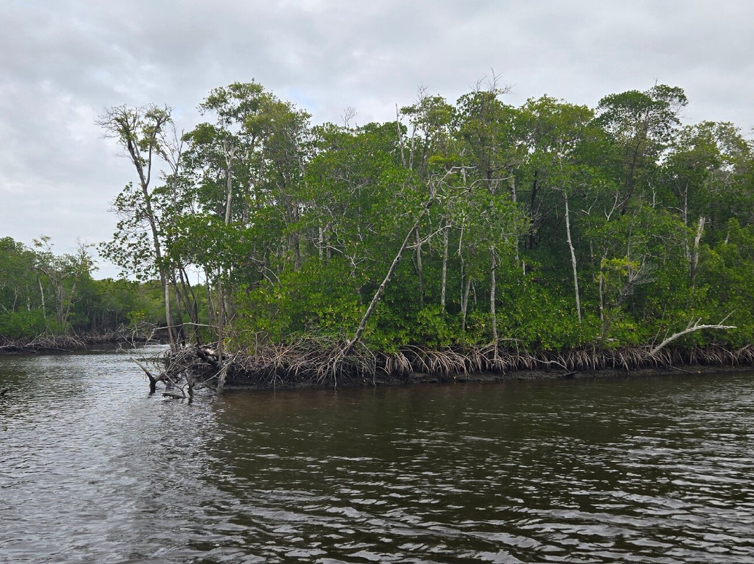 Captain Jack's Airboat Tours-大沼泽地必去景点